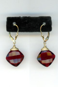 Earrings 269