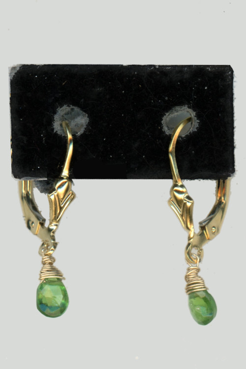 Earrings 294