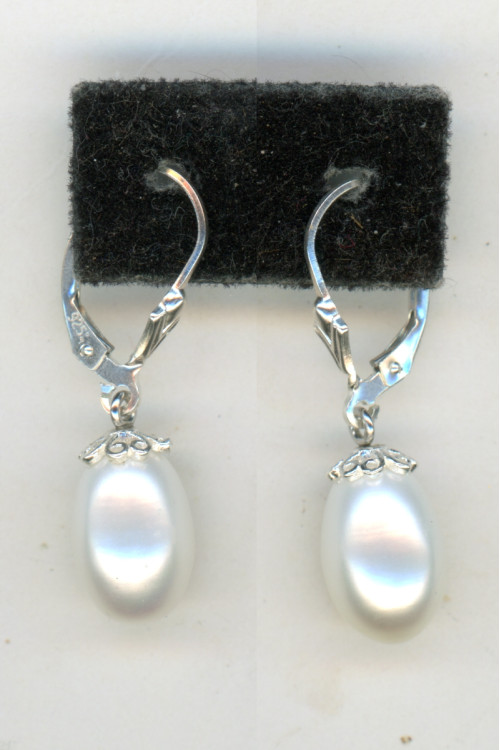 Earrings 296