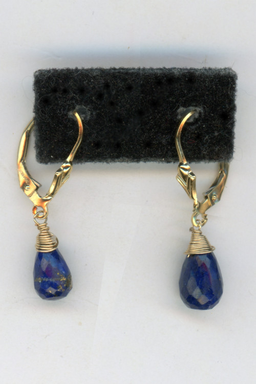 Earrings 306