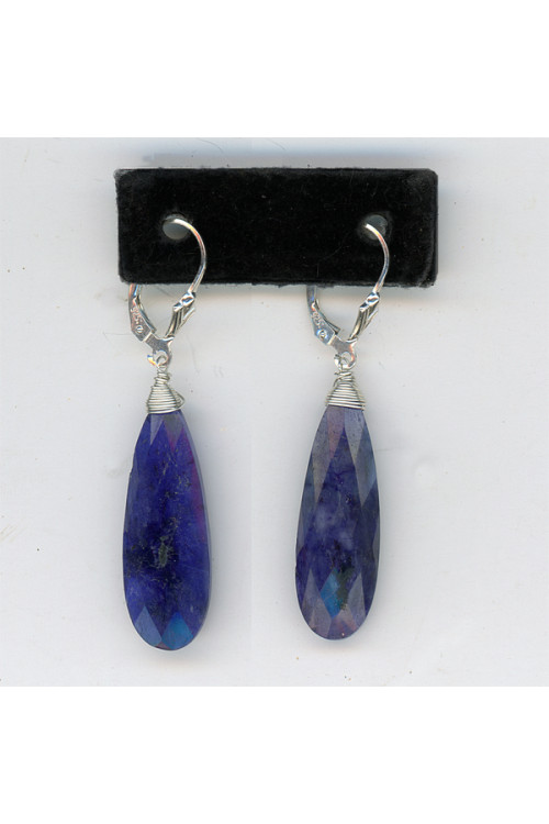 Earrings 327