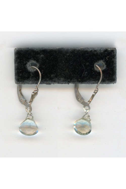 Earrings 330
