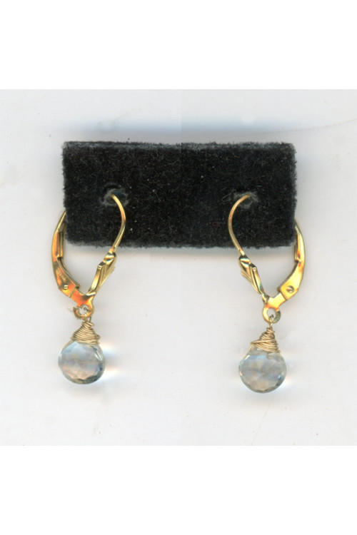 Earrings 331