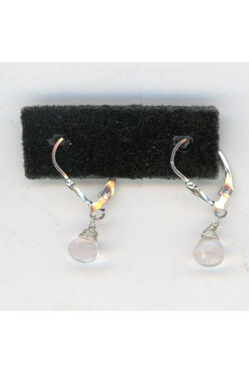 Earrings 332