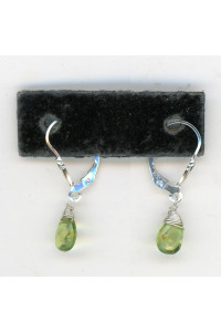Earrings 334