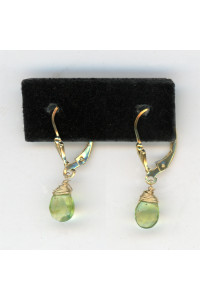 Earrings 335