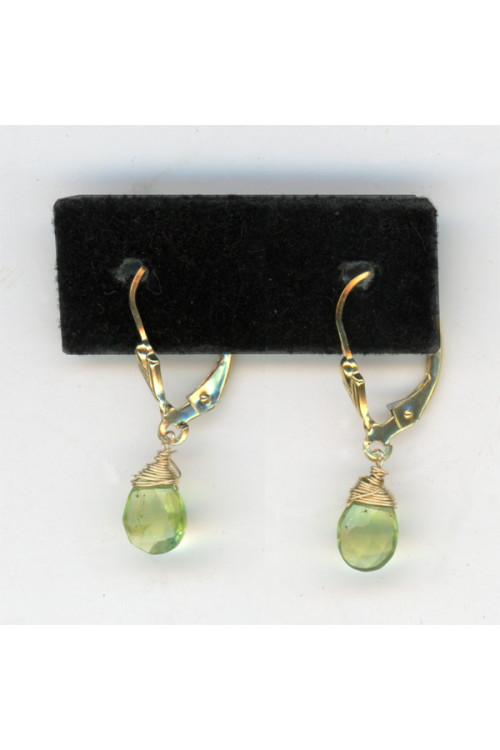 Earrings 335