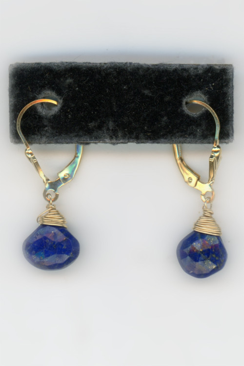 Earrings 343