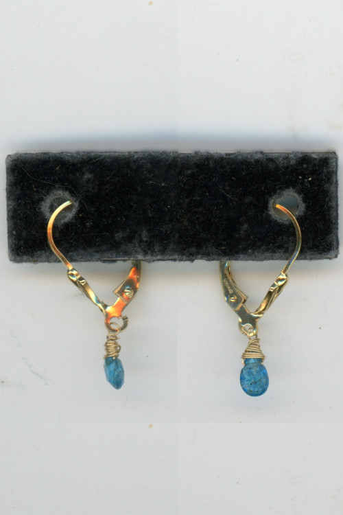 Earrings 344